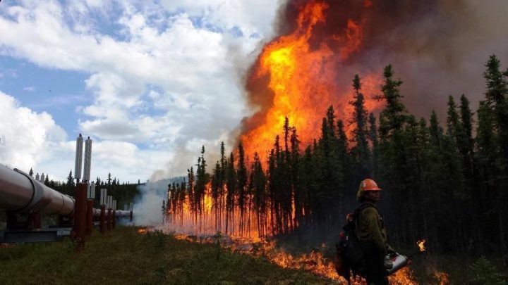 Wildfire Notification for Pipelines